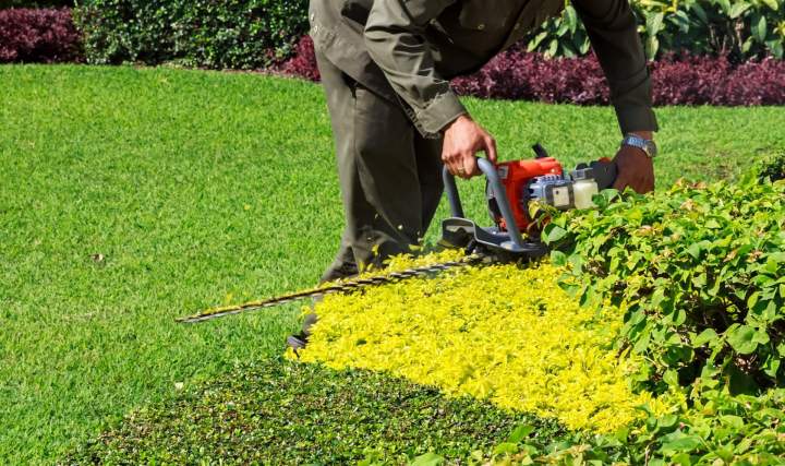 Entretien de jardin Créteil
